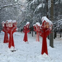 Птичьи домики :: Ольга Птичьи домики :: Ольга