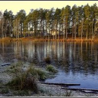 Первый мороз :: Aleksandr Gal