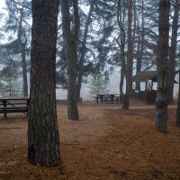 В парке туман :: Александр Синдерёв В парке туман :: Александр Синдерёв