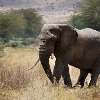 Во всей красе. :: Liliya 