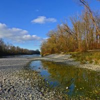 Вот и еще одна оголяется ветка клена… Тишина повсюду. Такахама Кёси... :: Галина 