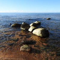 последние дни осени :: ИННА ПОРОХОВА