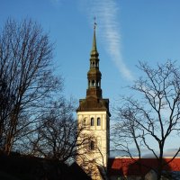 Вид на Нигулисте с горки Харью :: Aida10 Вид на Нигулисте с горки Харью :: Aida10