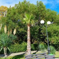 Адлер. На набережной реки Мзымты :: Нина Бутко Адлер. На набережной реки Мзымты :: Нина Бутко