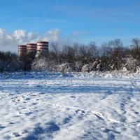 Прекрасный день!!! :: Радмир Арсеньев