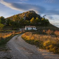 Вечерний свет :: Алекс Римский