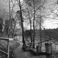 Лестница к реке. :: Николай 