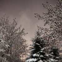 Снег :: Андрей 