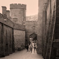 Воронцовский дворец :: skijumper Иванов