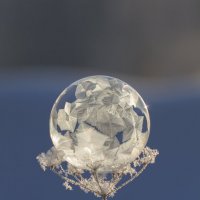 Пцзырик :: Андрей Пристяжнюк