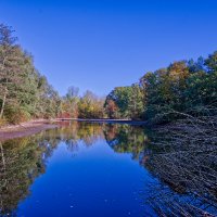 Пруд :: Jakob Dick