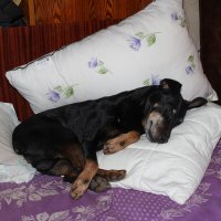 Тихий час. :: Александр 