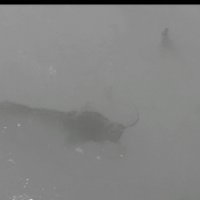 114 (167) :: CLOSE WAYS ALL