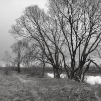 ... :: василий 