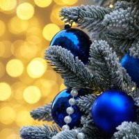 Эффект боке :: александр 