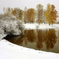 Зазимок :: Михаил Белоусов