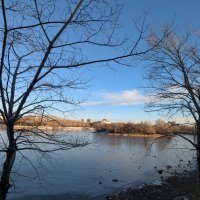 Островок :: Андрей Хлопонин