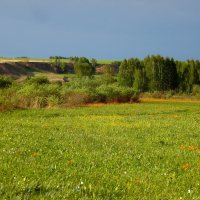 Бежит тропинка через луг, ныряет влево, вправо. Куда ни глянь, цветы вокруг, да по колено травы. :: nadyasilyuk Вознюк