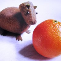 Калибара развлекается :: Людмила Смородинская Калибара развлекается :: Людмила Смородинская