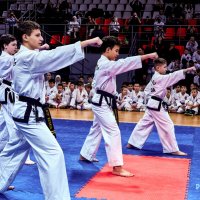 ТХЭКВОНДО :: arkadii 