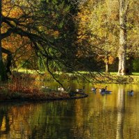 У озера :: Юрий. Шмаков