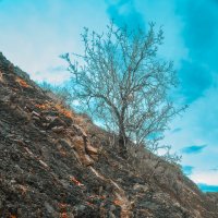 Застывший вулкан 2 :: Олег Загорулько