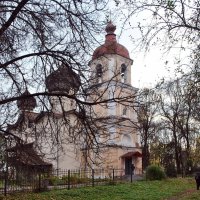 "На фоне закатного неба Ажурный узор из ветвей.." :: AleksSPb Лесниченко