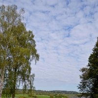 МИХАЙЛОВСКОЕ. :: Виктор Осипчук