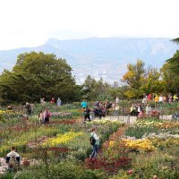 В Никитском саду :: Татьяна Тюменка