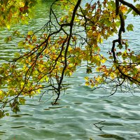 Осенний этюд. :: Lucy Schneider 