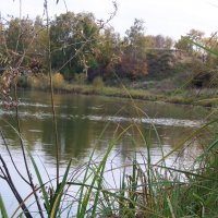 Местная речка Ачаирка. :: сергей ермошкин