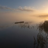 Утро с туманом :: Марина Фомина. Утро с туманом :: Марина Фомина.