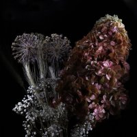 осенний натюрморт :: Natali 