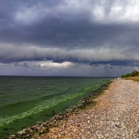 * :: Александр Лисовский