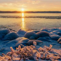 **** :: Алексей Мезенцев