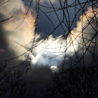 Дневная луна :: Мария Яковлева