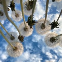 Скоро полетим :: Ольга Савельева Скоро полетим :: Ольга Савельева