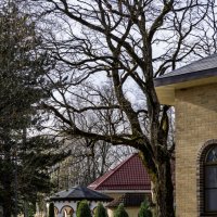 Люблю побродить по территории Свято-Михайловского мужского монастыря :: Игорь Сикорский