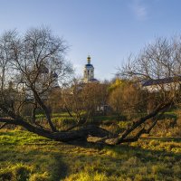 Раскидистая ива :: Сергей Цветков