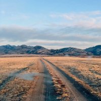 Эх,дороги... :: Георгиевич 