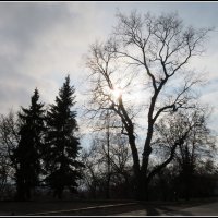 Погожий денёк. :: Егор Бабанов