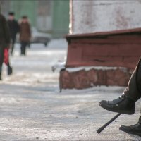 СТАРОЖИЛ ДВОРА :: Александр Кустов