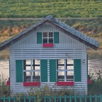 ----- :: vladimir ----- :: vladimir