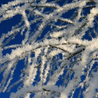 Подморозило... :: Галина Ильясова