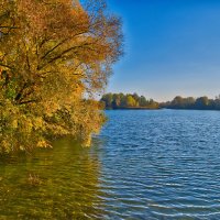 (°-°) :: Jakob Dick