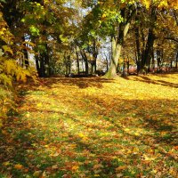 Ноябрьские зарисовки :: Рита Симонова Ноябрьские зарисовки :: Рита Симонова