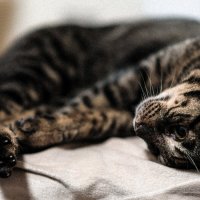 ... :: Жора Житников ... :: Жора Житников