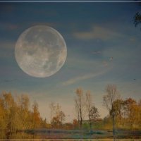 ВЕЧЕР... :: Elvira E. 