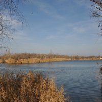 **** :: Виктор 