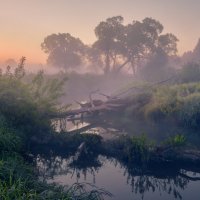 Хранящая остаток ночи ... :: Roman Lunin Хранящая остаток ночи ... :: Roman Lunin